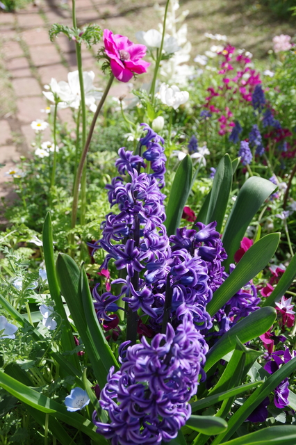 IMGP9711.JPG